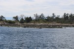 resIMG_20170710_142024_8431.JPG